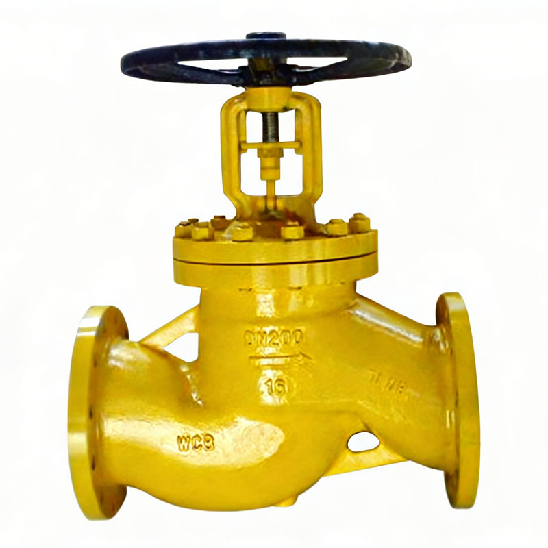 Chlorine Globe Valve LWJ41F