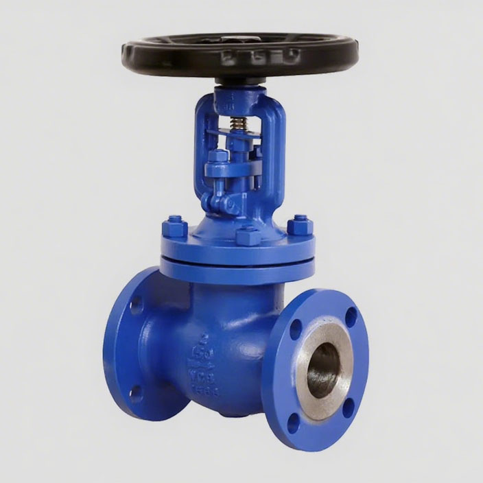 API A105 Bellows Globe Valve WJ41H
