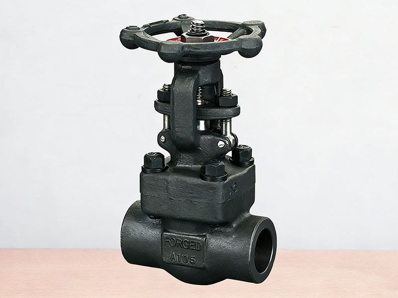 Forged Steel Female Thread, Socket Welded Gate Valve Z11Y/Z61Y