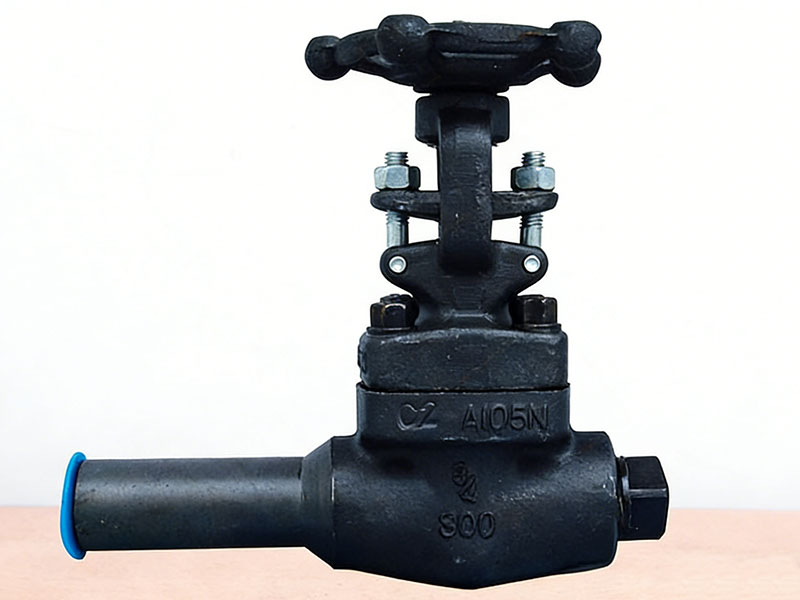 Forged Steel Extended Body Gate Valve EG8C4Y-K