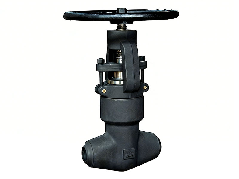 Self-sealing 2500Lb Globe Valve J61Y